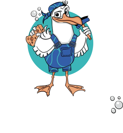 Swight